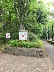 桧山公園