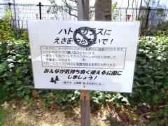 奥田公園