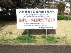 奥田公園