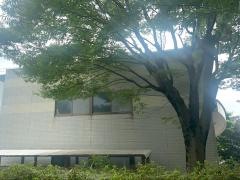 石川県立小松屋内水泳プール
