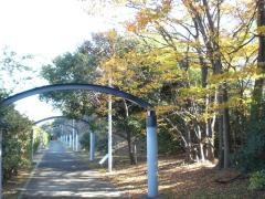 藤前緑地