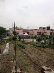 田辺幼稚園