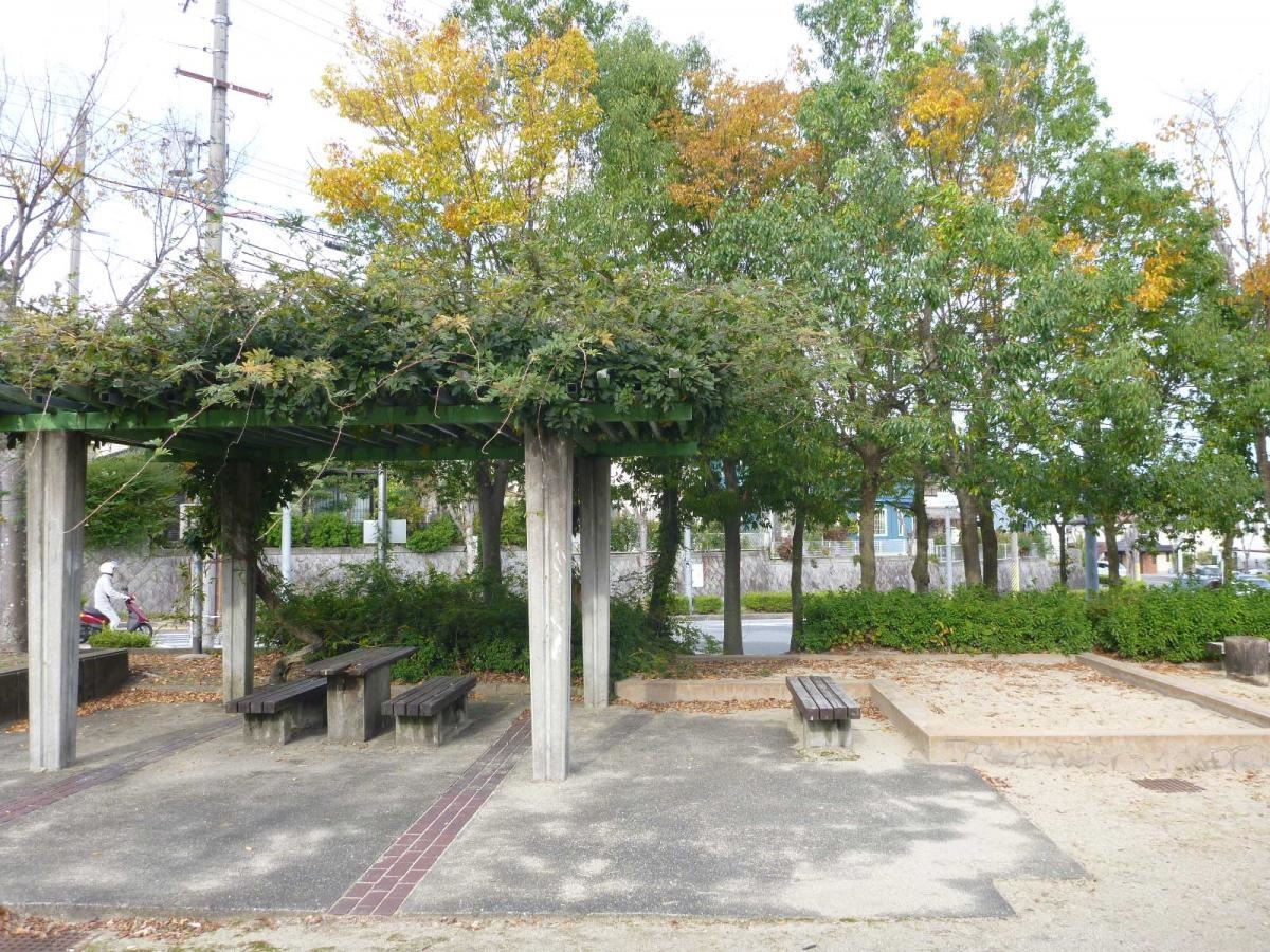 けやき坂　ヤマザクラ公園