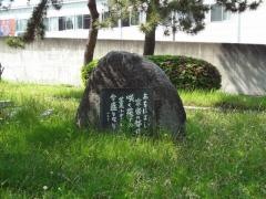 西九条緑地