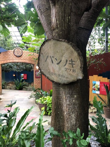 施設写真35