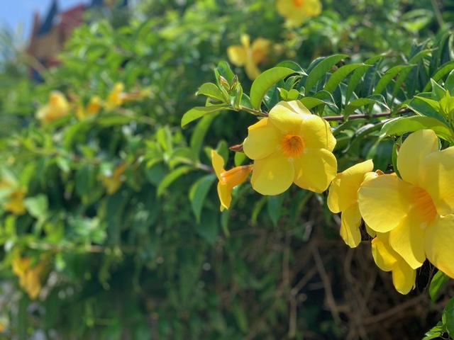 施設写真44