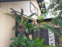 ベビーフェイスプラネッツ　桑名店