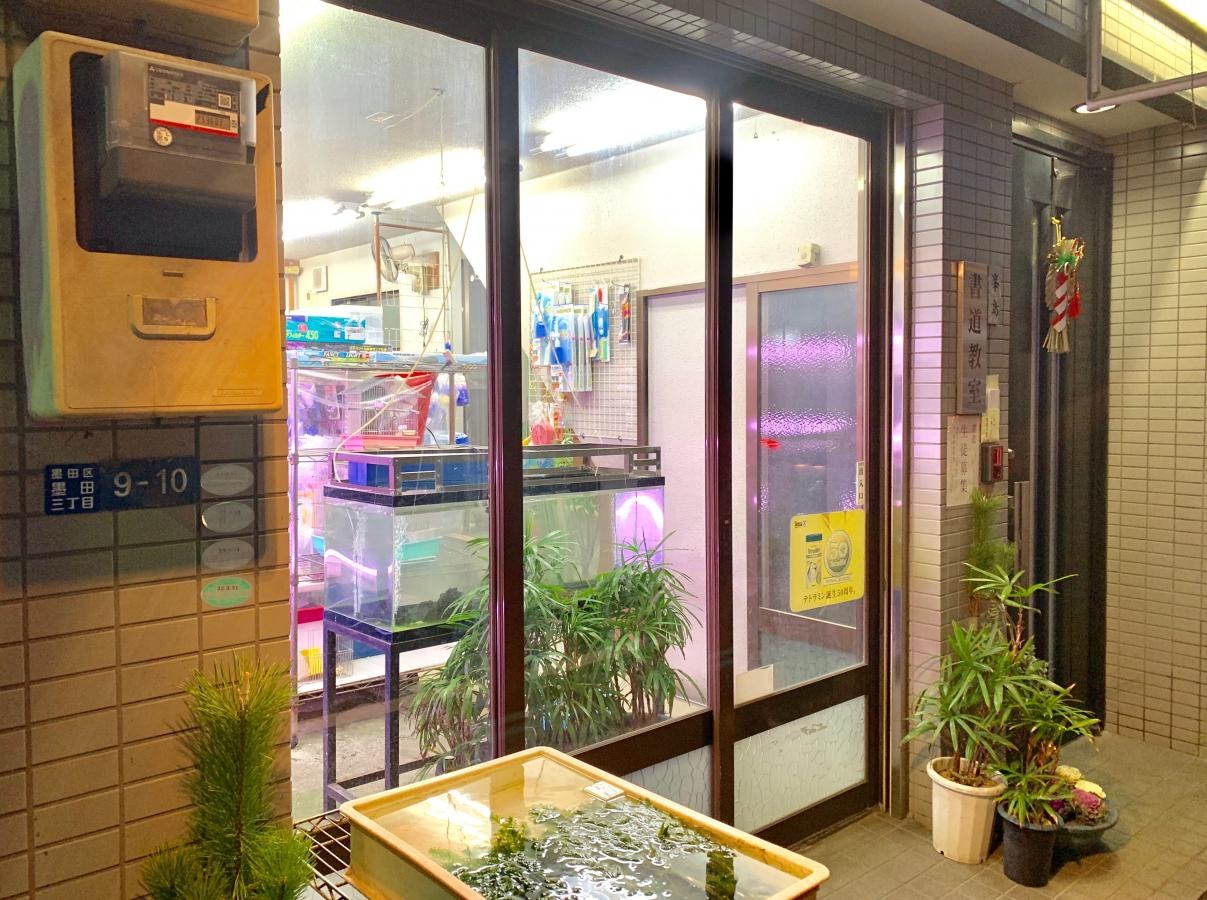 玉ノ井金魚園の店舗エントランス外観