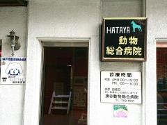 旗谷動物病院