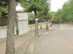「蓬莱黒松通り」バス停留所