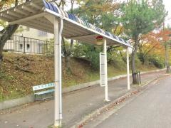 「蓬莱黒松通り」バス停留所