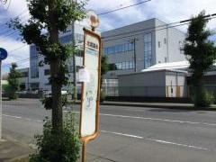 「北越製紙前」バス停留所