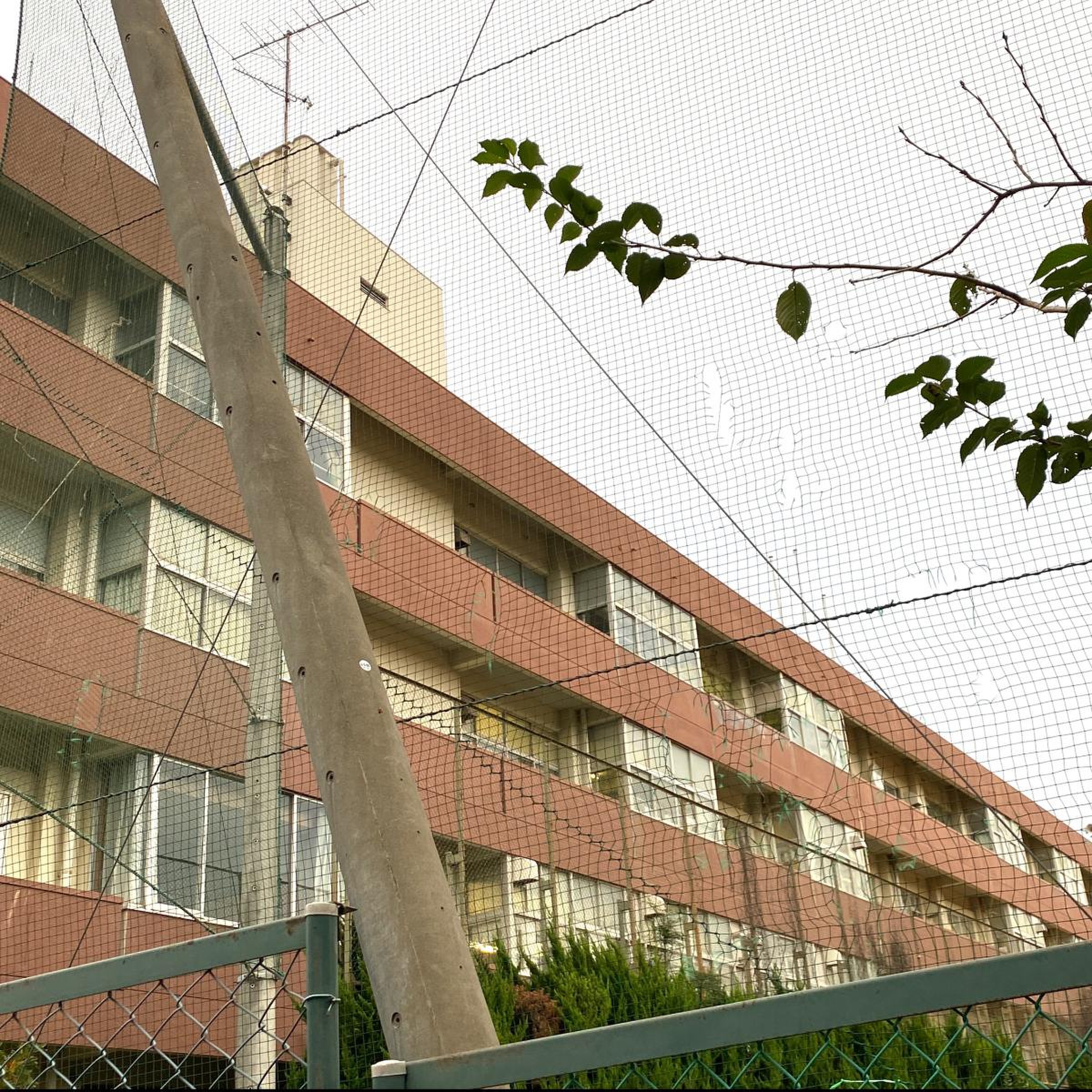 川口 市立 上 青木 中学校