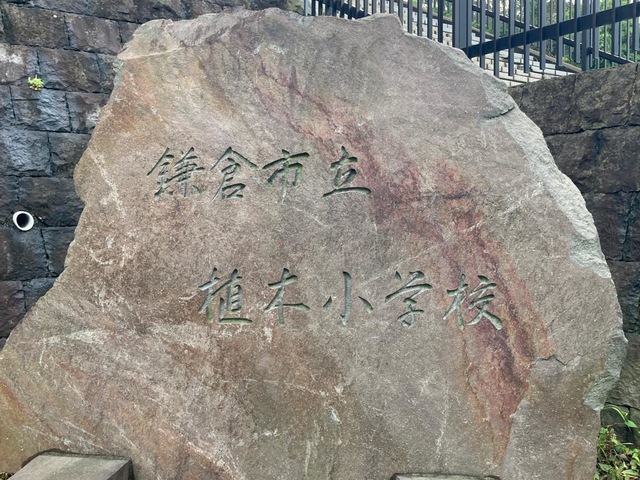 投稿写真6