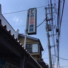 かんの動物病院本院