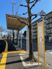 「県営１７号館前」バス停留所