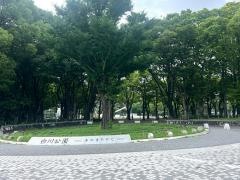 白川公園