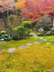 慈恩禅寺てっ草園