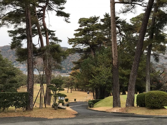 投稿写真4