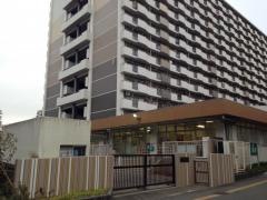 亀高保育園