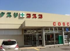 ドラッグコスコ丸子店