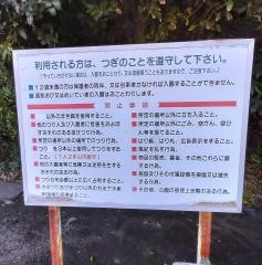 フィッシングパーク光
