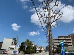 まつい皮ふ科クリニック