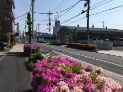 「花畑三丁目」バス停留所