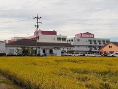 信竜