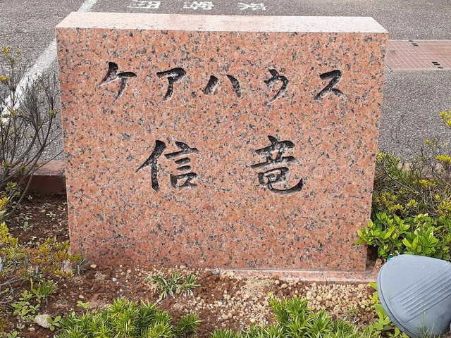 信竜