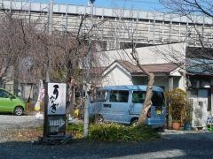 さつき