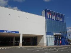 ノジマ　厚木本店