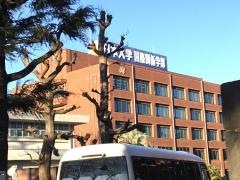 日本大学国際関係学部大学院