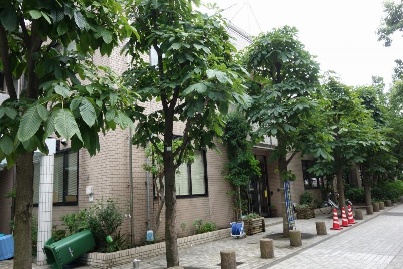 保育園外観