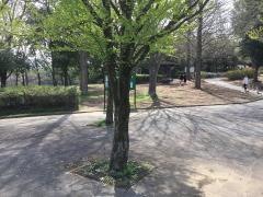 赤田西公園