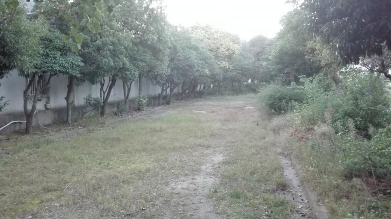 長洲川緑地