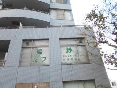 塩野皮フ科
