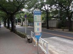 「桜丘中学」バス停留所