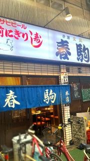 春駒