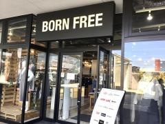 ＢＯＲＮ　ＦＲＥＥ　Ａ.ＳＱＵＡＲＥ