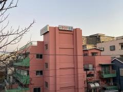 桜湯