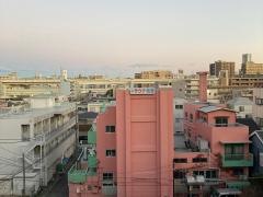 桜湯