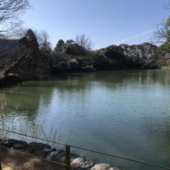 旧広瀬邸の庭園