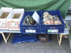 ファミリーマート　文京向丘二丁目店