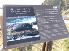百人浜・襟裳岬