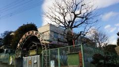 白ばら幼稚園