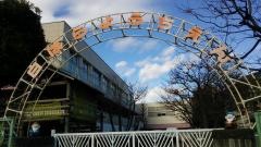 白ばら幼稚園