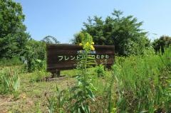 フレンドパークむかわ