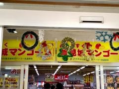 道の駅　豊崎