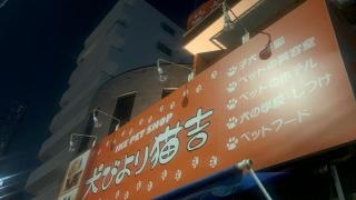 池ペットショップ犬びより猫吉